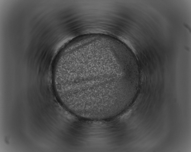 X0000093130979200710171304