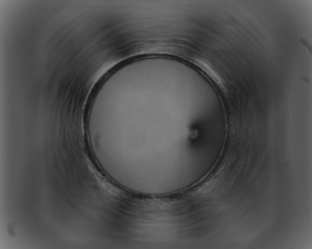 X0000093130980200710171303