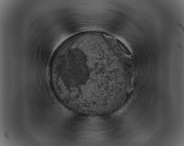 X0000093130983200710171303