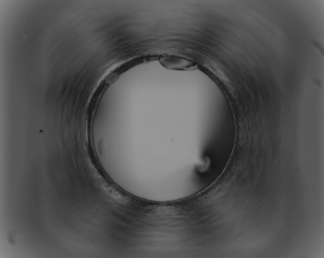 X0000093130984200710171303