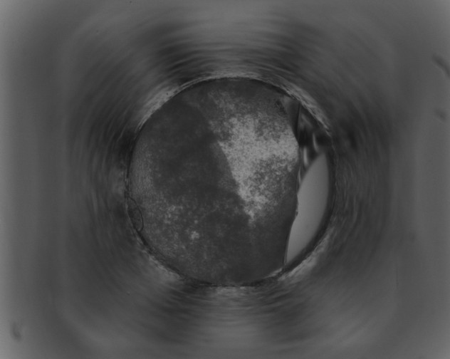 X0000093130985200710171303