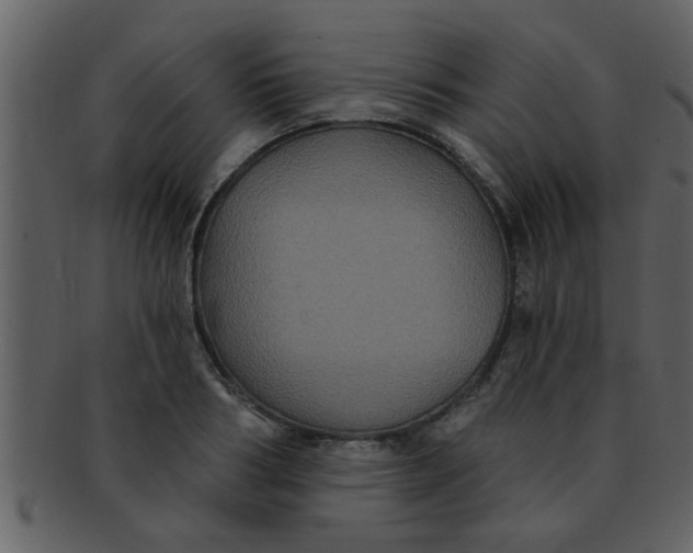 X0000093130986200710171303