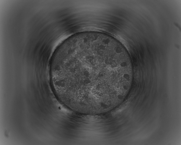 X0000093130987200710171303