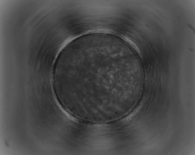 X0000093130989200710171303