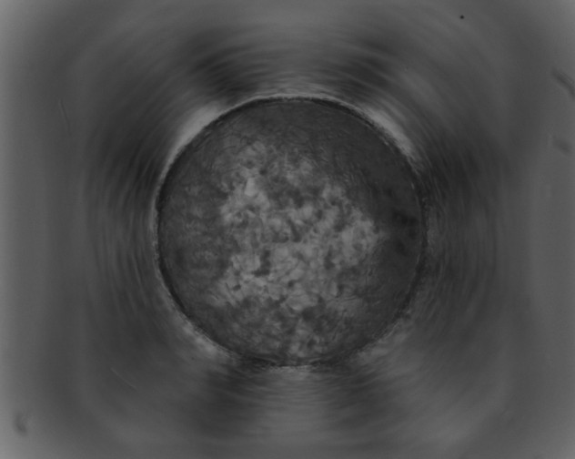 X0000093130990200710171303