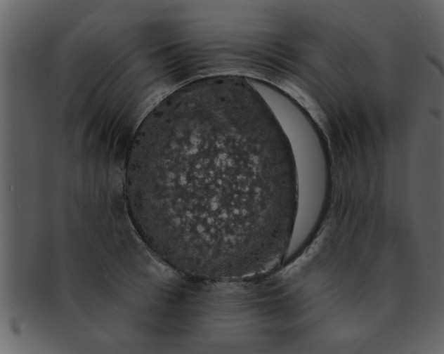 X0000093130993200710171303