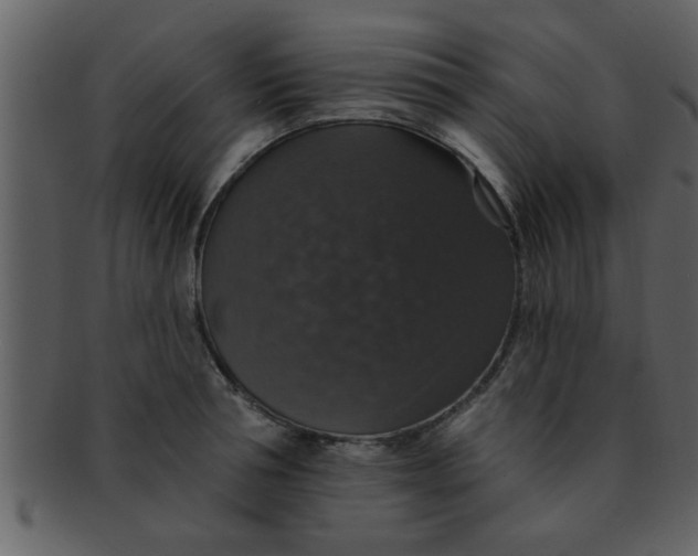 X0000093130994200710171303