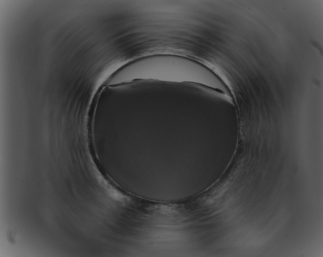 X0000093130995200710171303