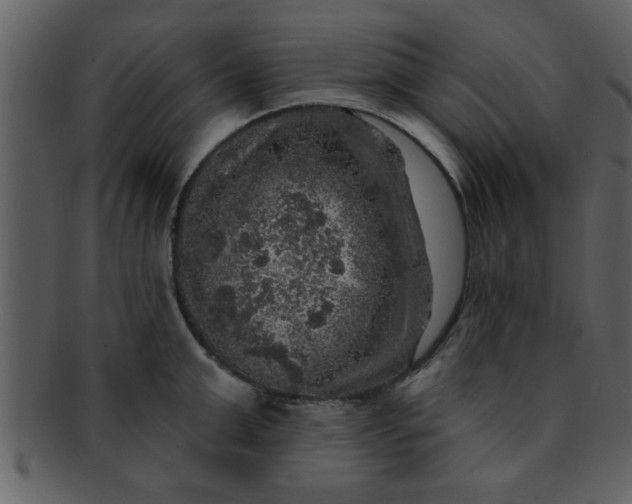 X0000093130999200710171303