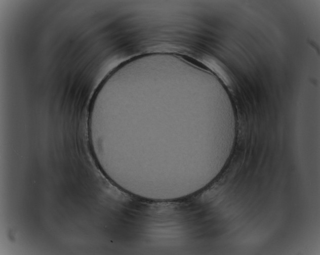 X0000093131000200710171303