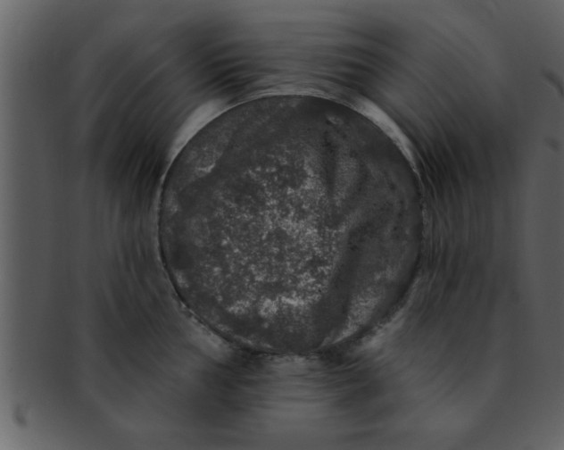 X0000093131002200710171303