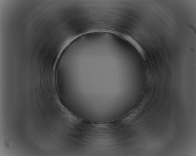 X0000093131004200710171303