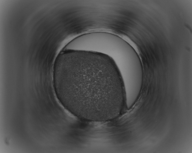 X0000093131005200710171303