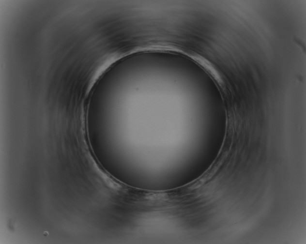 X0000093131006200710171303