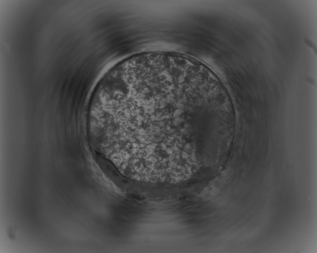 X0000093131008200710171303