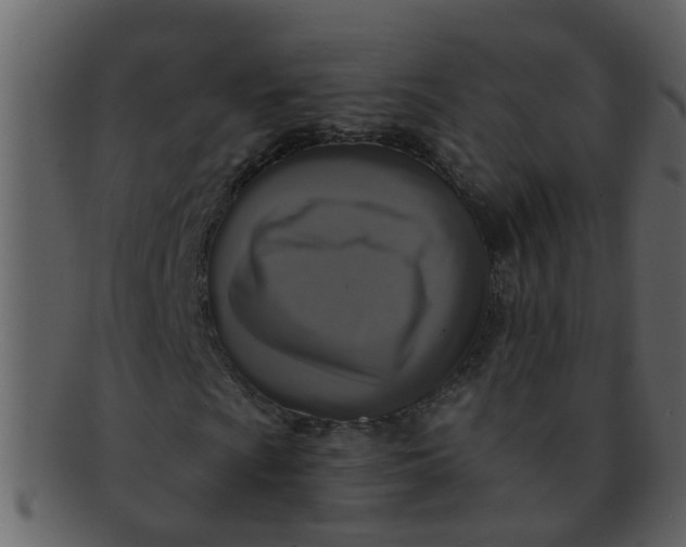 X0000093131009200710171302