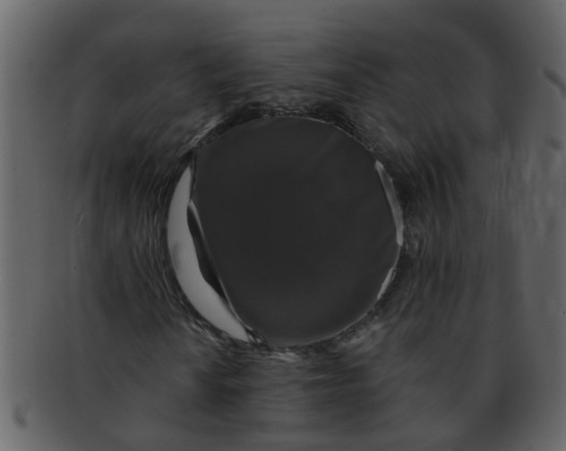 X0000093131010200710171302