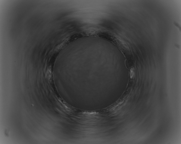 X0000093131011200710171302