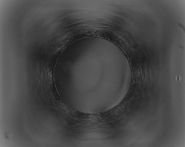 X0000093131013200710171303