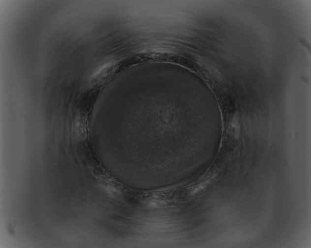 X0000093131014200710171303