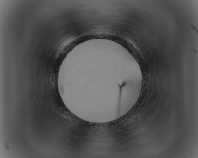 X0000093131016200710171303