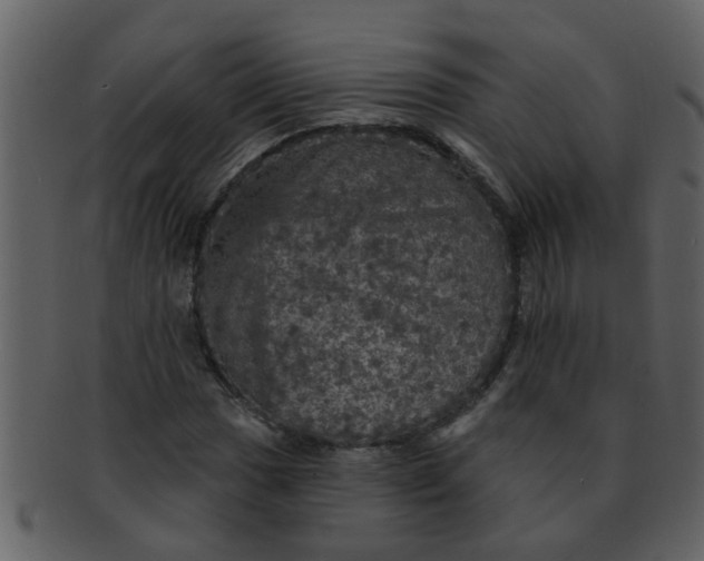 X0000093131017200710171303