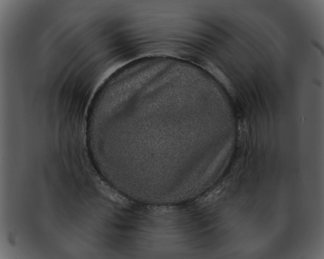 X0000093131020200710171303