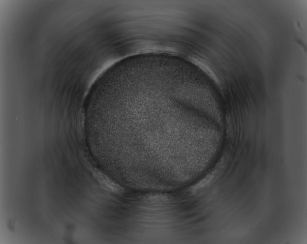 X0000093131021200710171303