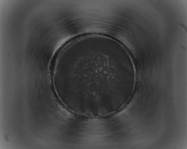 X0000093131022200710171303