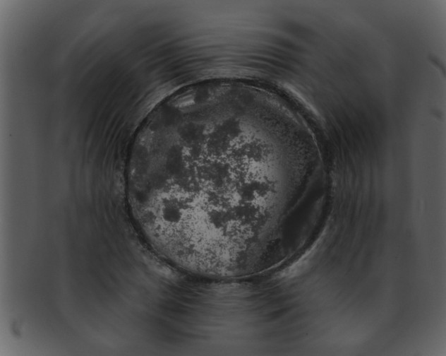 X0000093131025200710171303