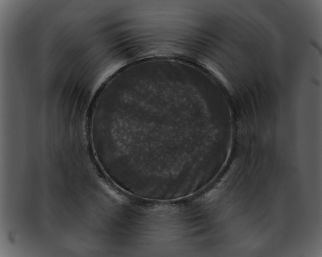 X0000093131026200710171303