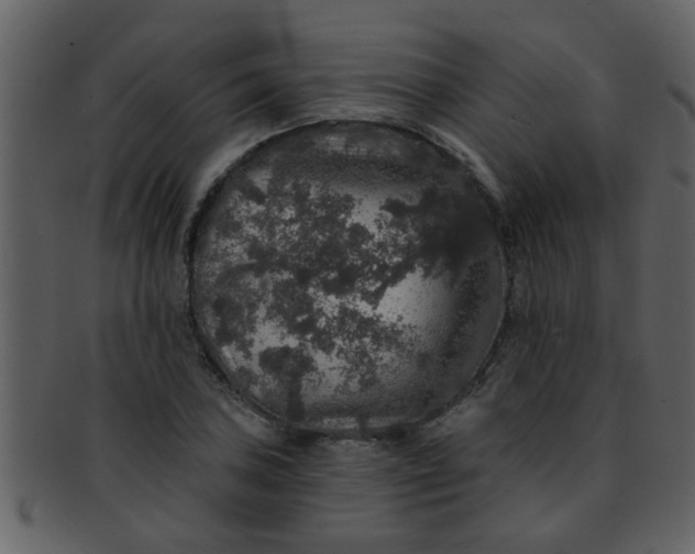 X0000093131027200710171303