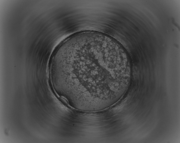 X0000093131028200710171303