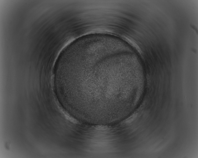 X0000093131029200710171303