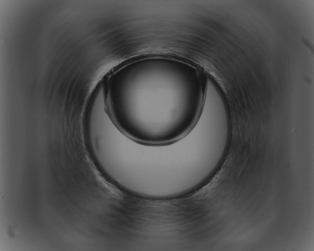 X0000093131030200710171303