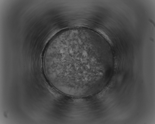 X0000093131031200710171303