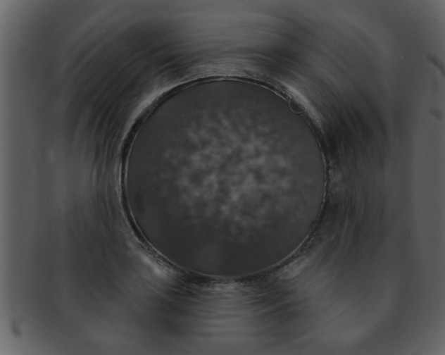 X0000093131035200710171303