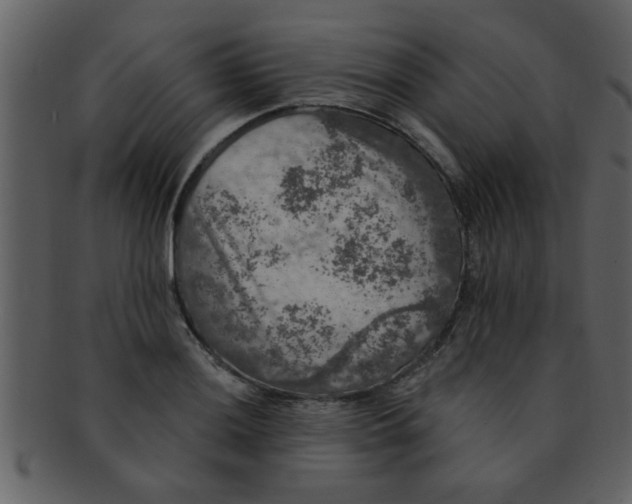 X0000093131036200710171303