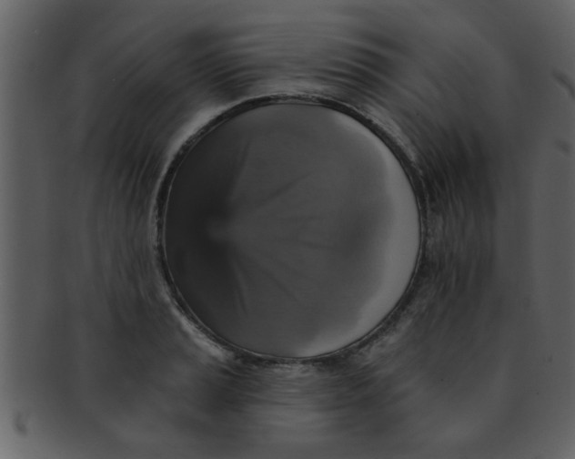 X0000093131037200710171303