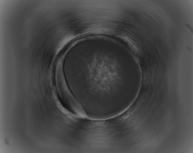 X0000093131038200710171303