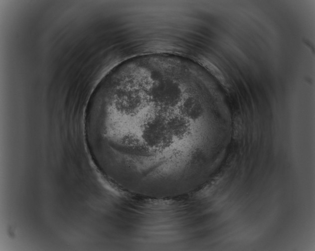 X0000093131039200710171303