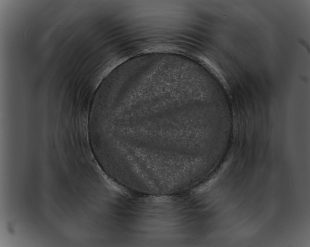 X0000093131041200710171303