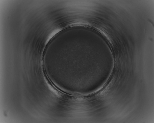 X0000093131042200710171303