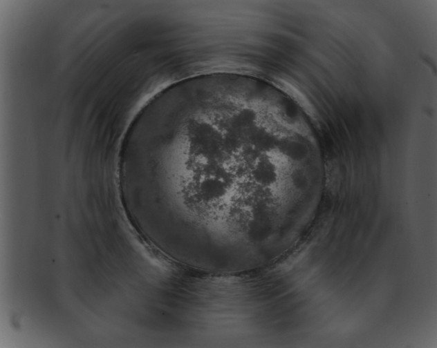 X0000093131043200710171303