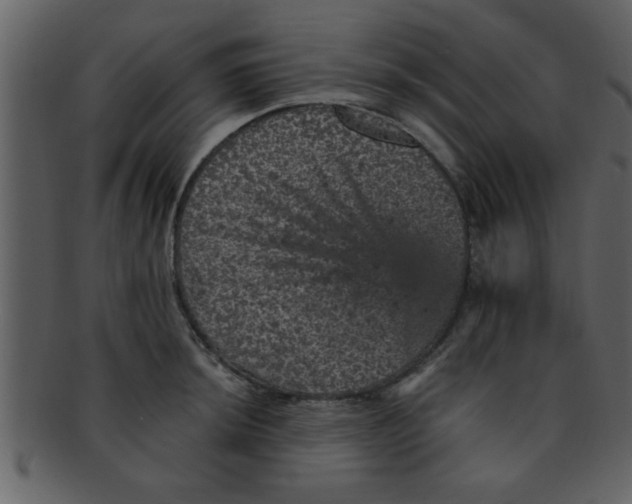 X0000093131044200710171303