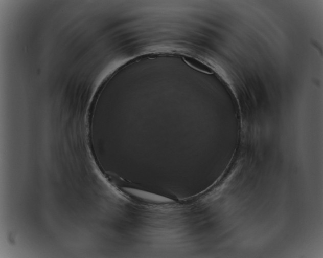 X0000093131045200710171303