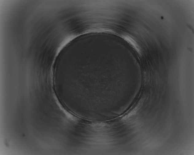 X0000093131046200710171303