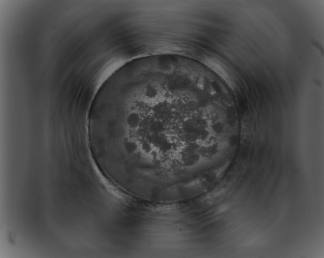 X0000093131047200710171303