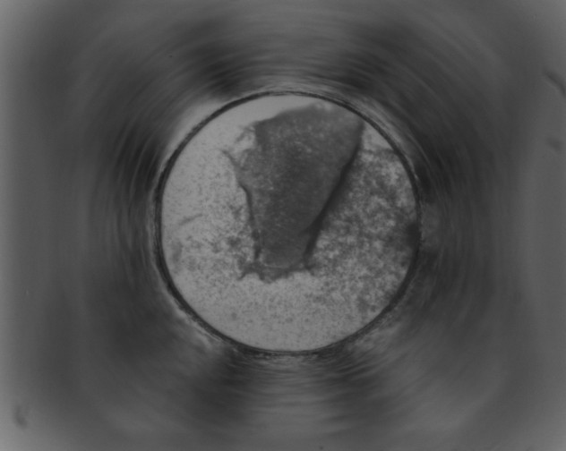 X0000093131048200710171303