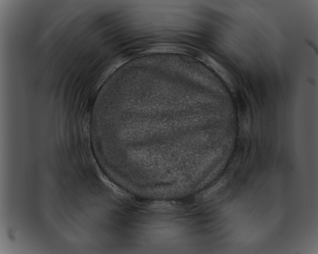 X0000093131049200710171303